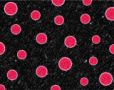 Dots 2